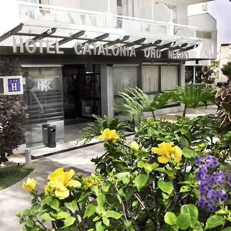 Hotel Catalonia Oro Negro Playa de las Americas (Tenerife)