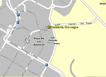 Hotel Catalonia Oro Negro Playa de las Americas (Tenerife)